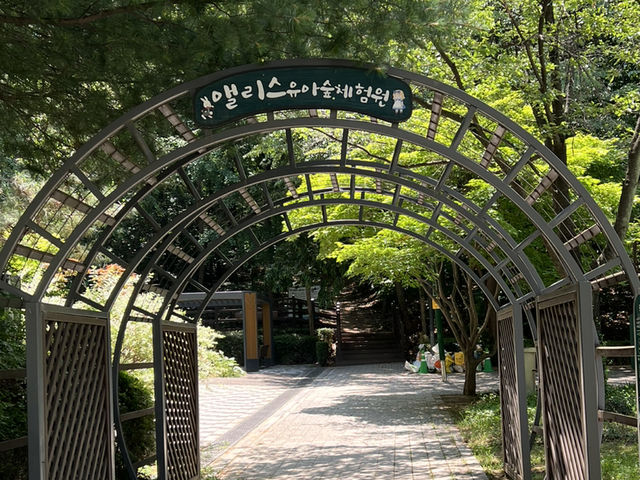 앨리스 유아숲 체험원