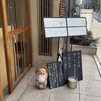 【神戸】ごはんや 分福 BunBuku