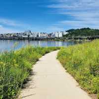 The Seoul Forest Park