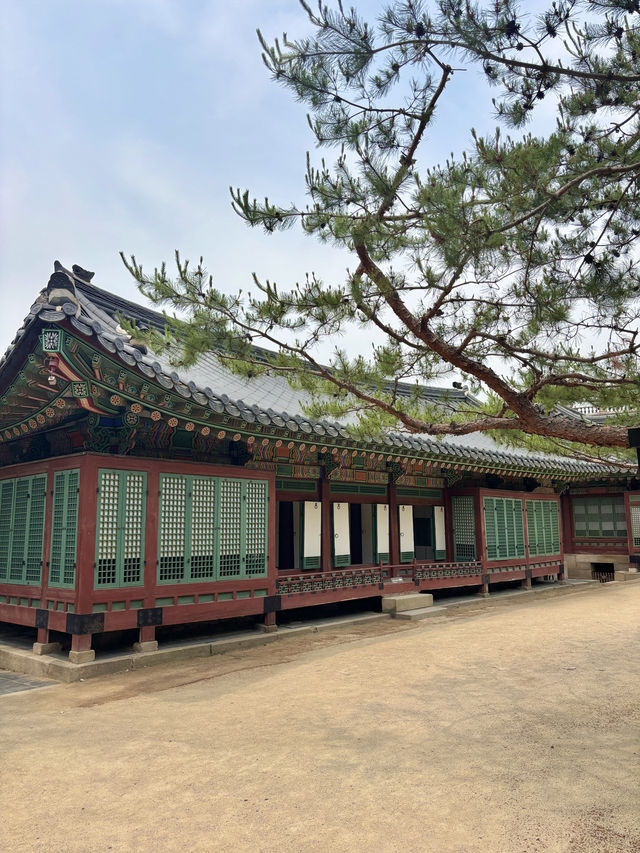 한국의 옛 시절로 돌아가볼 수 있는 서울 명소🥰