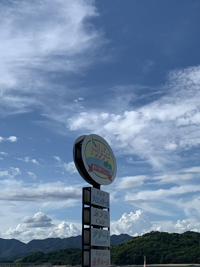 【広島🇯🇵】瀬戸田で迎える夏☀️🌻