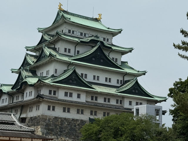 Exploring Nagoya Castle’s majestic fortress 