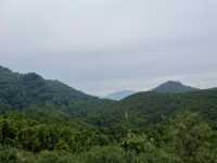 Good food n contact with nature