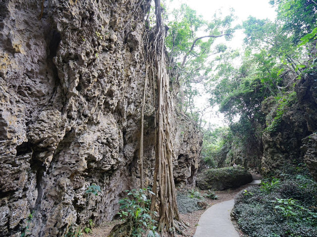 森林遊樂園區系列 PART1️⃣2️⃣