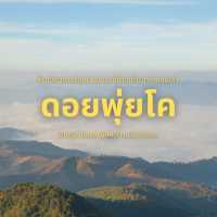 ดอยพุ่ยโค แม่ฮ่องสอน 2025 ฝนนี้ห้ามพลาด