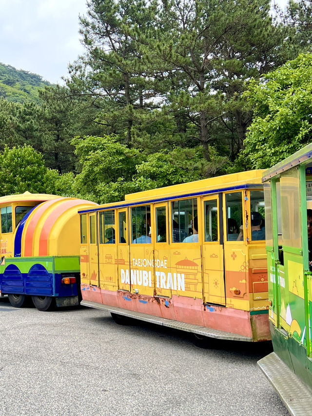 咱們去太宗台座Danubi 列車！ 走～～～