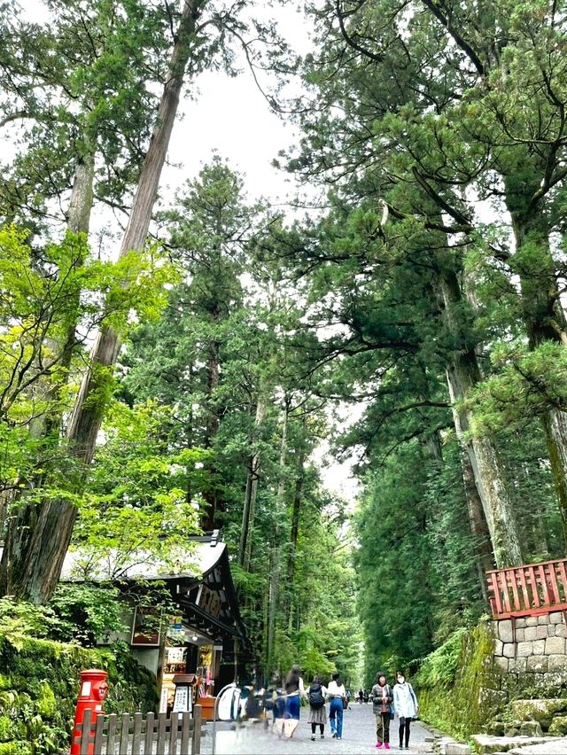 The vermillion Shinkyo Bridge, an icon of Nikko National Park