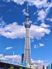 โอซาก้า🇯🇵