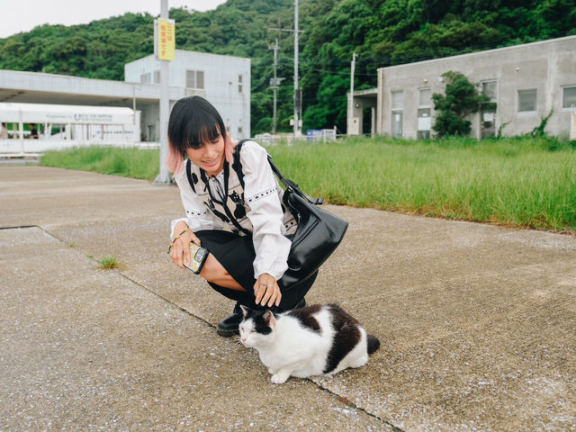 เราจะพาไปเกาะที่มีประชากรแมวมากกว่าร้อยตัว🐈