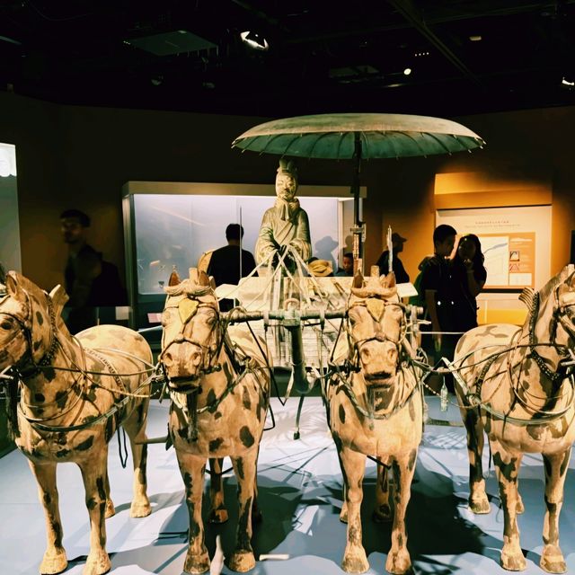香港歷史博物館2025年7月兵馬俑展覽遊覽參觀攻略，適合親子遊