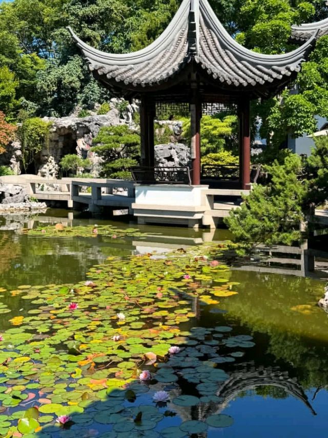 🌿 Chinese Garden Singapore – Tranquility in the City! 🏯