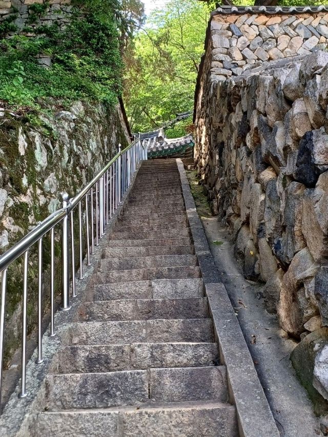 친구와 함께 떠나는 도심 속 인생샷 투어📸