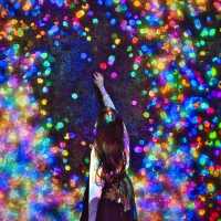 【夏のおでかけ】梅雨でも安心な室内型アートスポット💡