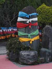 Discover the Colorful Charm of Butterfly Park – A Hidden Gem in Yunnan