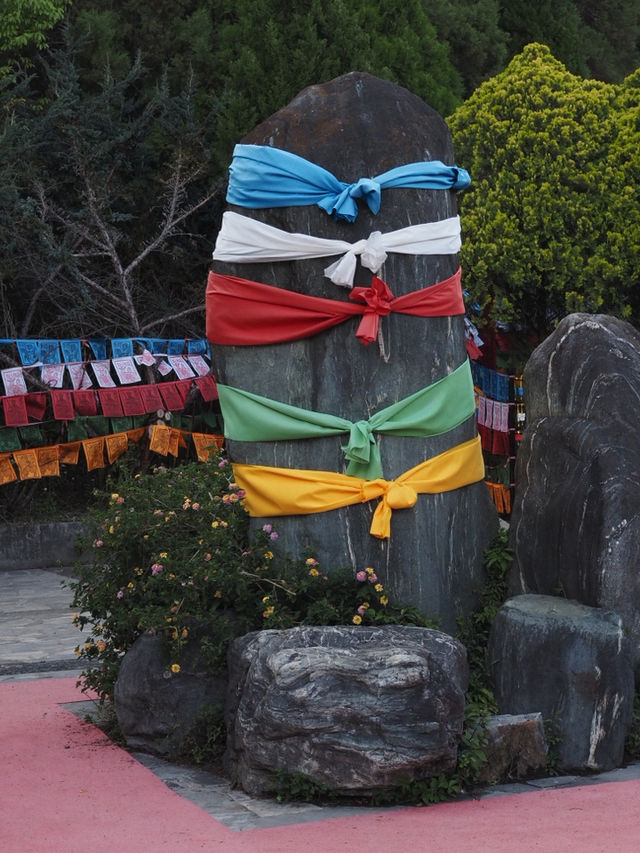 Discover the Colorful Charm of Butterfly Park – A Hidden Gem in Yunnan