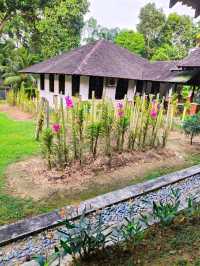 JB's Botanical Gem: Find Serenity & Rare Orchids at This Hidden Urban Garden