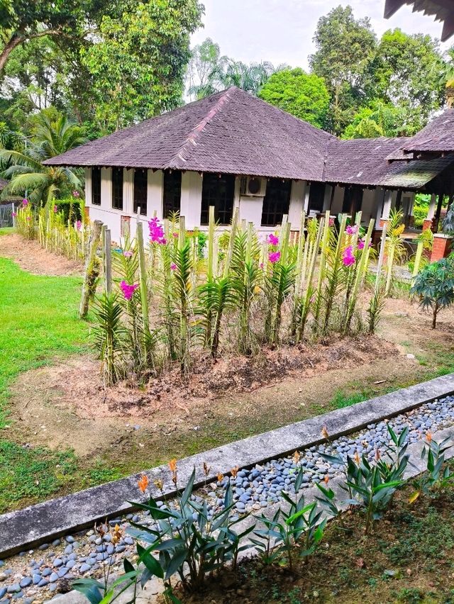 JB's Botanical Gem: Find Serenity & Rare Orchids at This Hidden Urban Garden