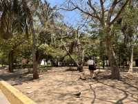 【Parque del Centenario｜カルタヘナ中心にひっそり息づく野生の楽園】