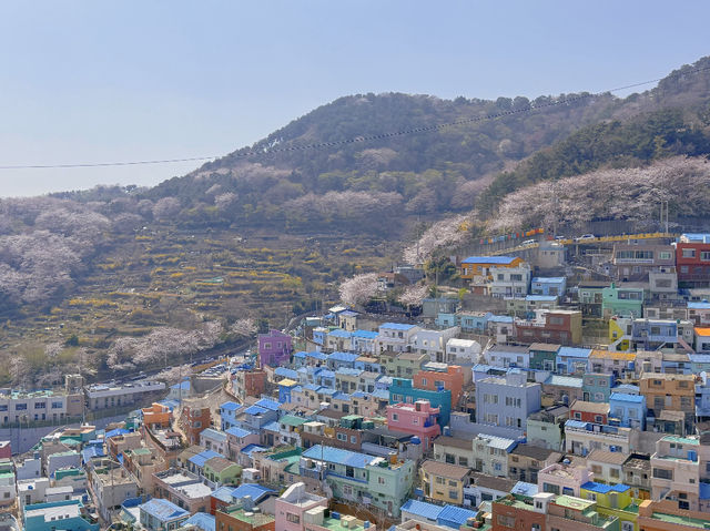 Busan's 192 Steps of Happiness + Gamcheon Culture Village: My Summer Adventure! 🌸🪜