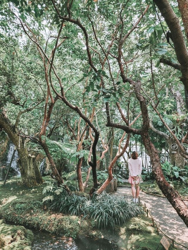 Stepping Into a Fairy Tale in Chiang Mai 🌳🧚‍♀️