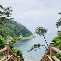 Taejongdae Jagalmadang, Busan: A Local's Coastal Retreat with Authentic Charm