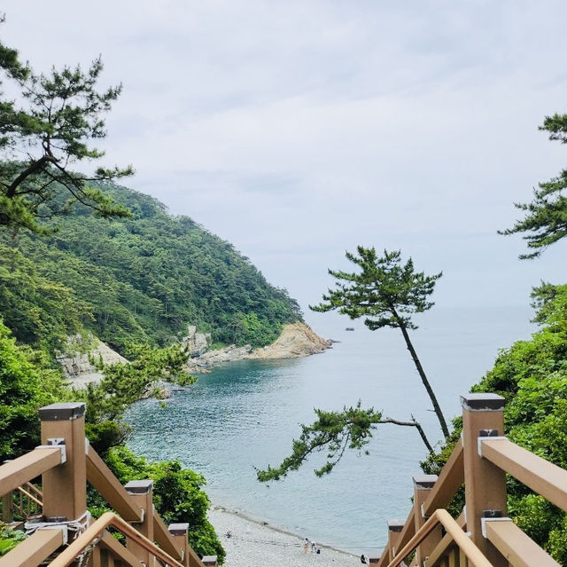 Taejongdae Jagalmadang, Busan: A Local's Coastal Retreat with Authentic Charm
