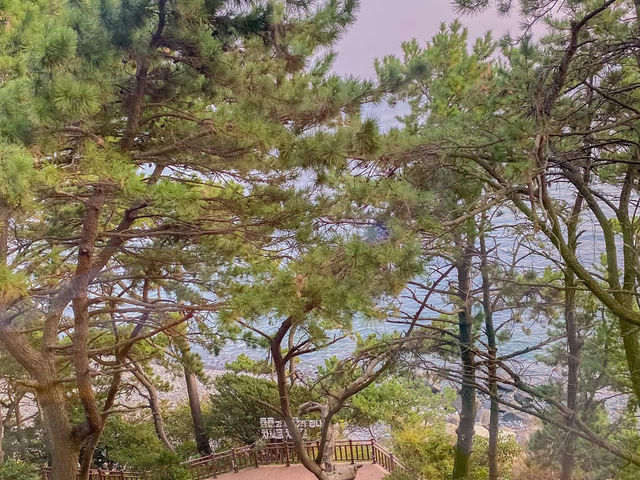 🌊 Cheongsapo + Blueline Park