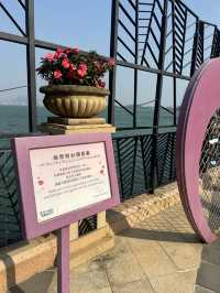 愉景灣海景教堂⛪️打卡靚景📸
