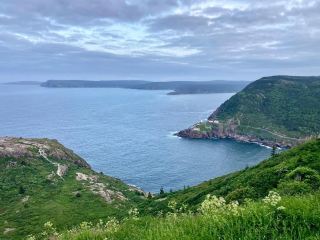 Signal Hill: A Historic Hill with Stunning Views of the Atlantic