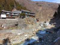 🐒 Jigokudani Yaen-Koen – A Snow Monkey Experience Worth the Hike
