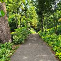 Mount Faber Park (Free hike + scenic views)