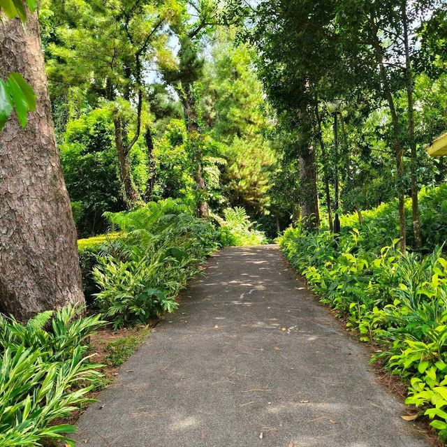 Mount Faber Park (Free hike + scenic views)
