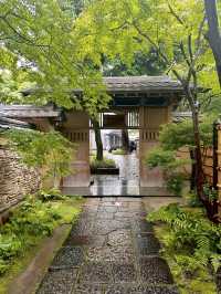 일본 여름을 느낄 수 있는 후쿠오카 정원카페 🌿