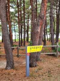 💖고성여행 중 자전거로 특별한 추억을 남겨요 "송지호 둘레길 자전거대여소💖