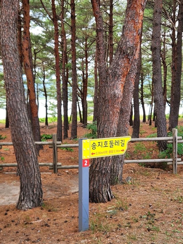 💖고성여행 중 자전거로 특별한 추억을 남겨요 "송지호 둘레길 자전거대여소💖