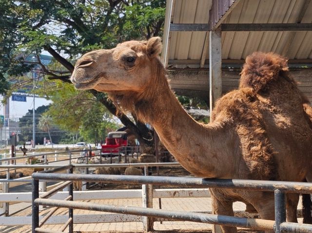 ที่เที่ยว เพชรบุรี