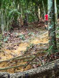 ⛰️ Bukit Kledang, Perak – Choose Your Trail, Choose Your Challenge!