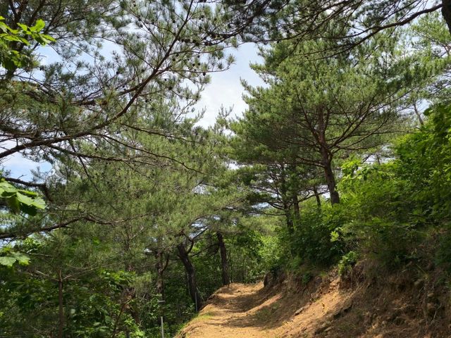 국내여행 우리나라 최북단의 작은 산 응봉 