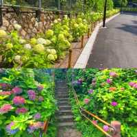 飛鳥山公園