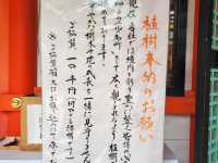神戶鬧區內的櫻花秘境/生田神社