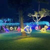 【️沖縄】 美らヤシパークオキナワ 東南植物楽園🌴