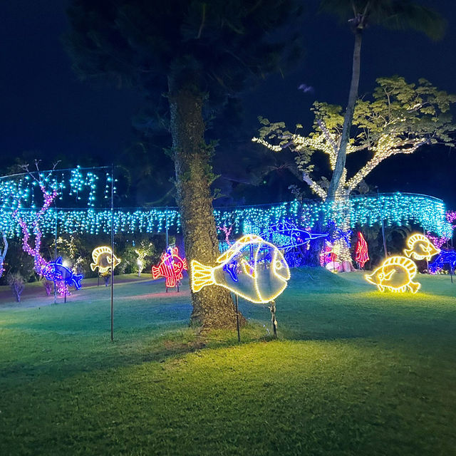 【️沖縄】 美らヤシパークオキナワ 東南植物楽園🌴