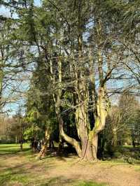 War Memorial Park
