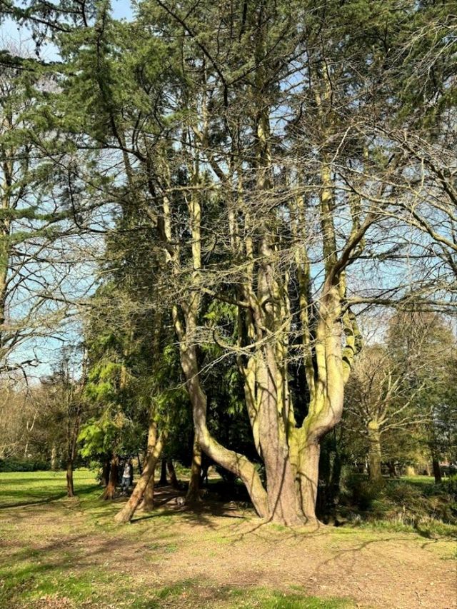 War Memorial Park