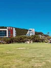 Scenic Views and Photo Opportunities from a Green Vantage Point