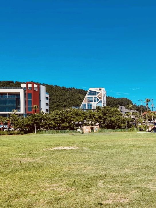 Scenic Views and Photo Opportunities from a Green Vantage Point