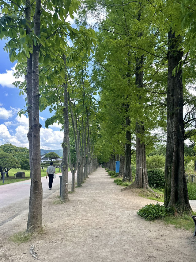 경주에 이런 곳이? 요즘뜨는 천년숲정원💜
