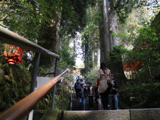 📍箱根神社 · 森林中的靜謐力量