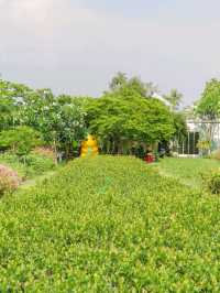 🌿 คาเฟ่วิวหลักล้าน…กลางธรรมชาติสุดร่มรื่น 🍃