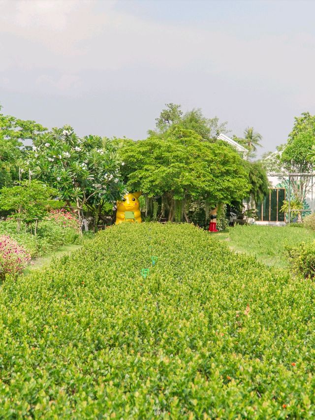 🌿 คาเฟ่วิวหลักล้าน…กลางธรรมชาติสุดร่มรื่น 🍃